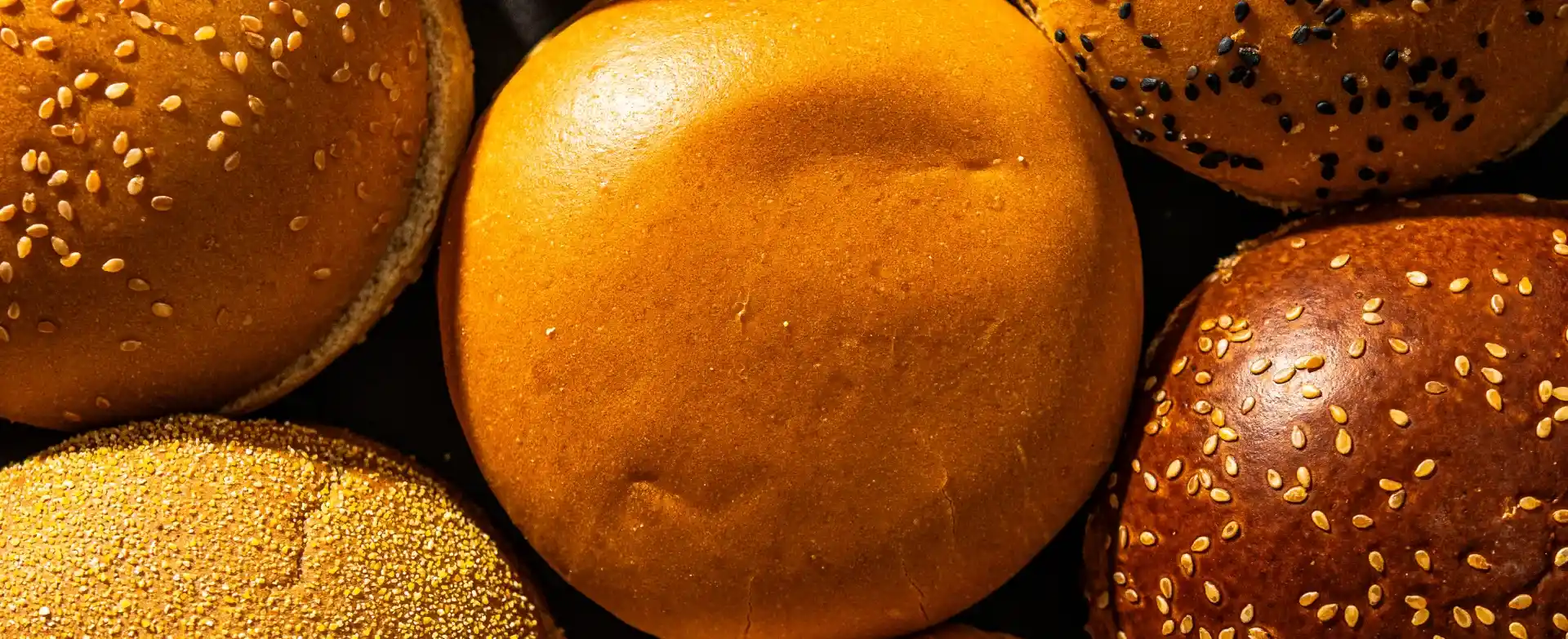 Distribuidores Bread Maker